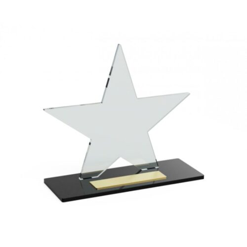 Troféu para homenagem em acrílico